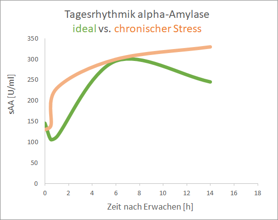 Gesamttagesrhythmik a-Amylase